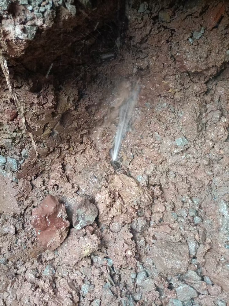 温岭本地服务：自来水管漏水检测维修